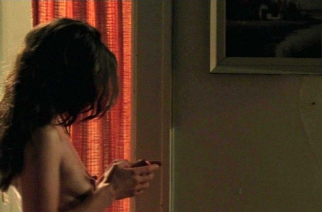 Milla Jovovich Nipples  nude photo