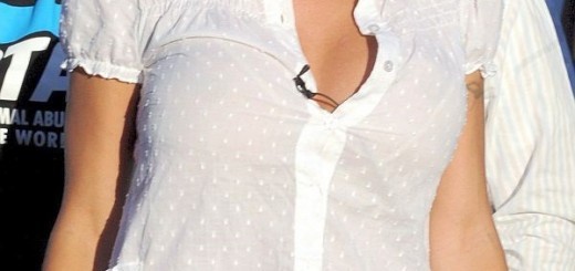 Pamela Anderson Cameltoe 520×245 nude photo