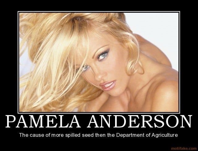 Pamela Anderson Demotivational  nude photo