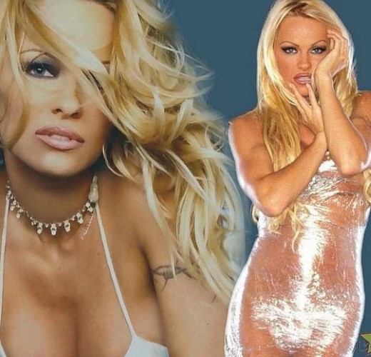 Pamela Anderson Hot Sexy Busty Babe  nude photo