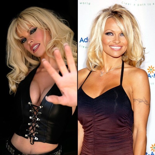 Pamela Anderson Outstanding How Much She Resembles Her In Make Up 7  nude photo