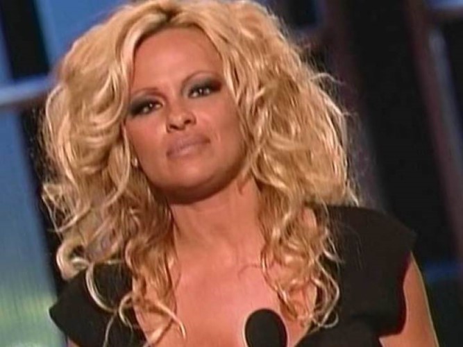 Pamela Anderson Roast  nude photo