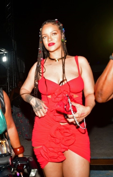 Rihanna At Imagine Reggae Festival 1  nude photo