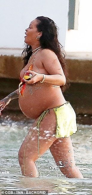 Rihanna At The Beach 7  nude photo