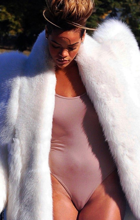 Rihanna Cameltoe Hot Pussy  nude photo