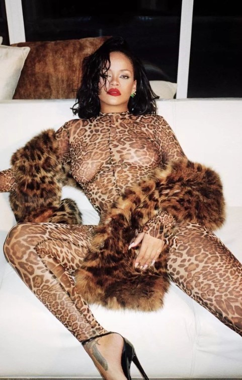 Rihanna Fantastic  nude photo