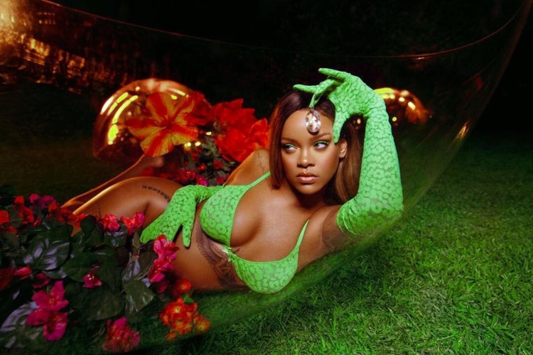 Rihanna My Desktop Wallpaper  nude photo
