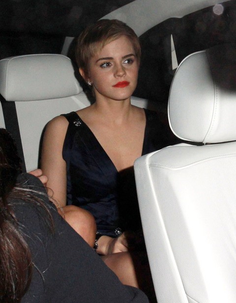 Sexy Emma Watson Topless Pics  nude photo