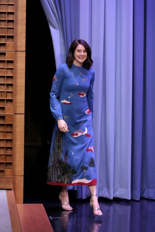 Shailene Woodley NYC Dress  nude photo