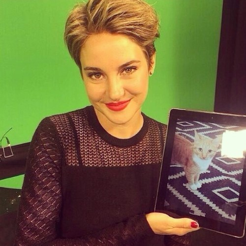 Shailene Woodley Picture Of Kitten  nude photo