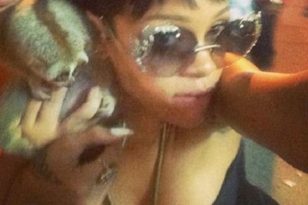 Slow Loris Rihanna  nude photo