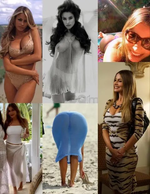 Sofia Vergara Sexy Hot Photos  nude photo