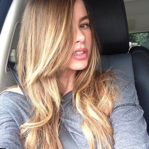 Sofia Vergara With Blonde Hair  nude photo