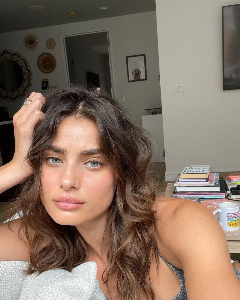 Taylor Hill  nude photo