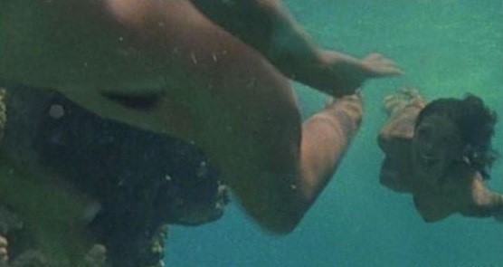 Topless Phoebe Cates Nude  nude photo