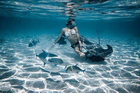 Trista Mikail  nude photo