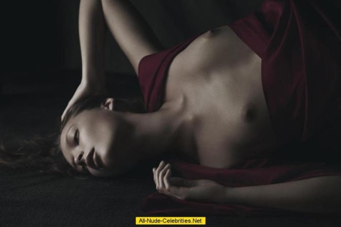 Vanessa Hudgens New Nude  nude photo