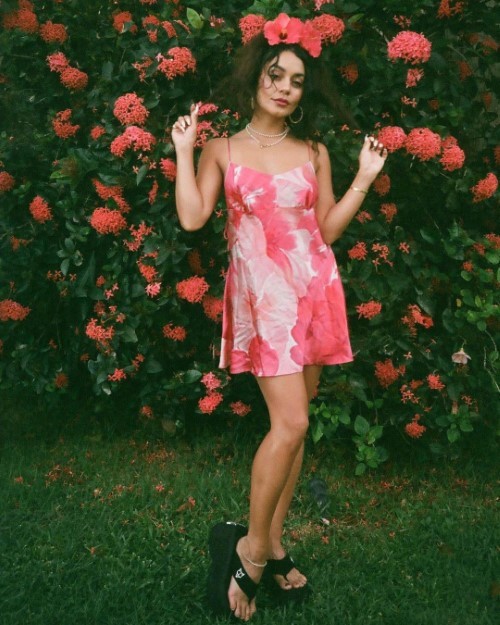 Vanessa Hudgens Pretty In Pink 2(1)  nude photo