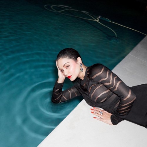 Vanessa Hudgens See Through  nude photo