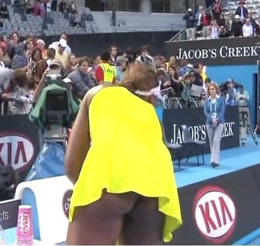 Venus Williams Upskirt Ass  nude photo