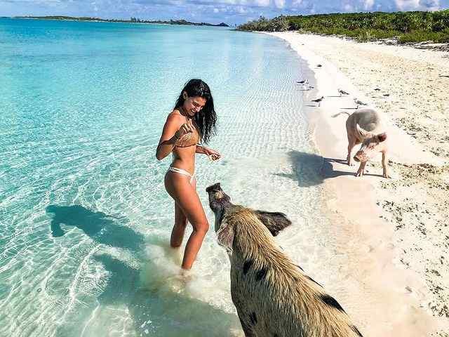 Victoria Chirino  nude photo