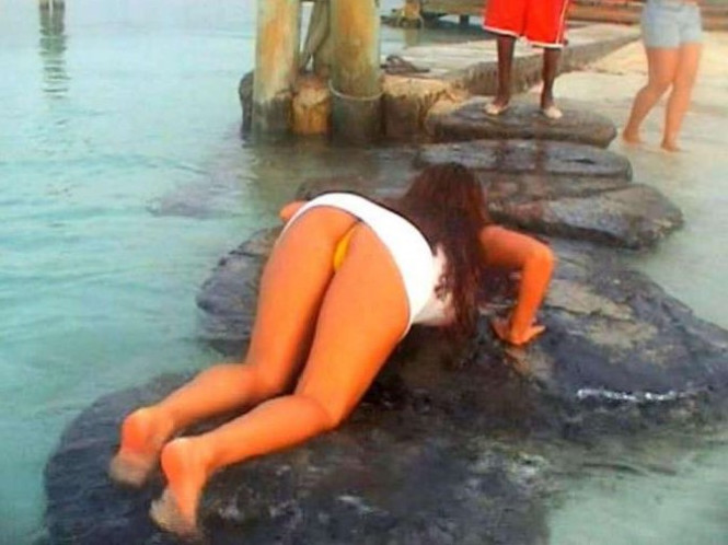 Vida Guerra Ass Upskirt nude photo