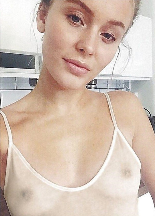 Zara Larsson Nipples See Through  nude photo