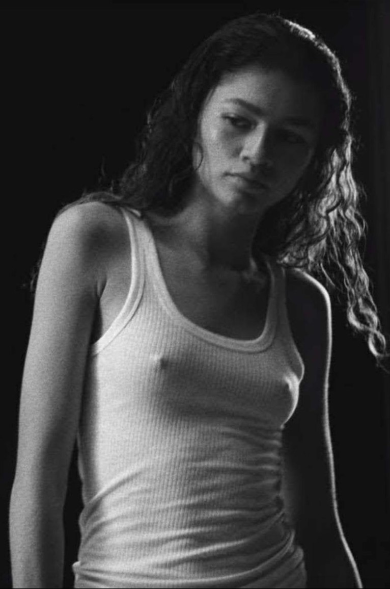 Zendaya Tits See Through  nude photo