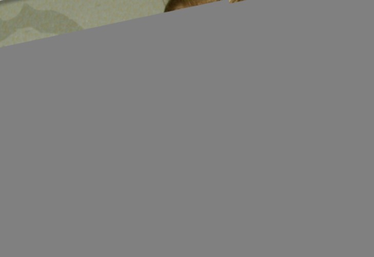 scarlett-johansson-nude-blowjob  nude photo