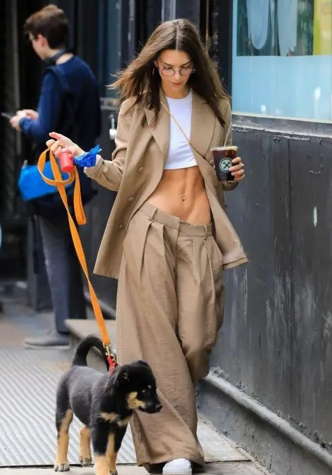 Emily Ratajkowski Killer Abs  nude photo
