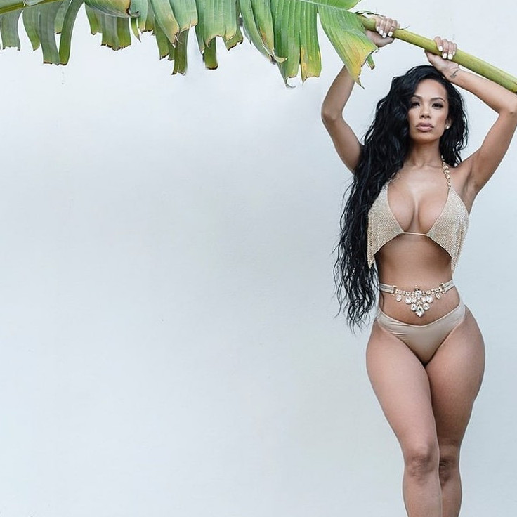 Erica Mena  nude photo