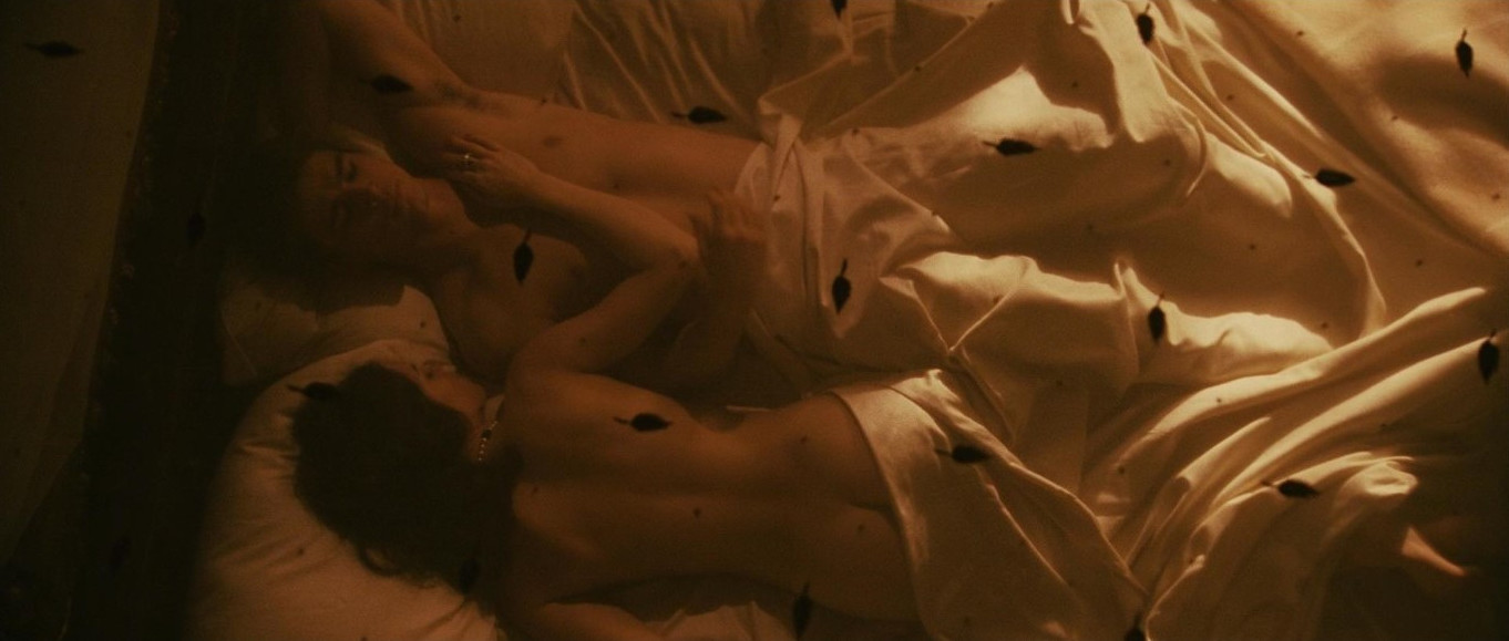 Hilary Swank Hot Naked Actress Scene  nude photo