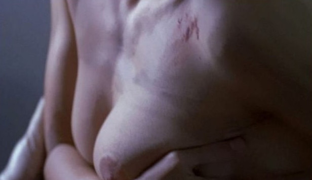 Hilary Swank Real Nude  nude photo