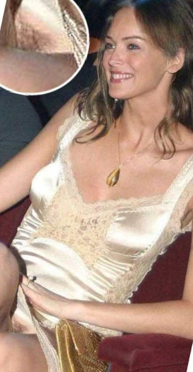 Sharon Stone Naked Pussy  nude photo