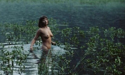 Sophie Marceau In Lamour Braque  nude photo