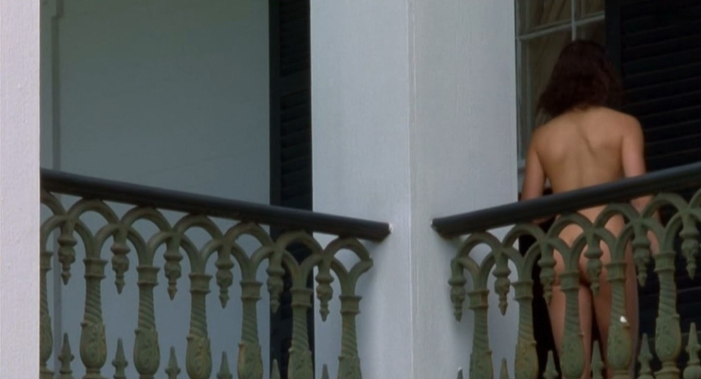 Teri Hatcher Hot Naked Photo  nude photo