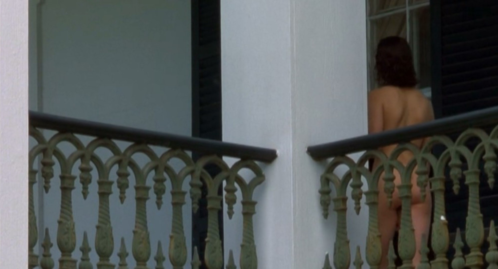 Teri Hatcher Sexy Naked Ass Photo  nude photo