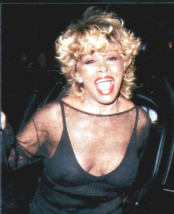 Tina Turner Pokies  nude photo