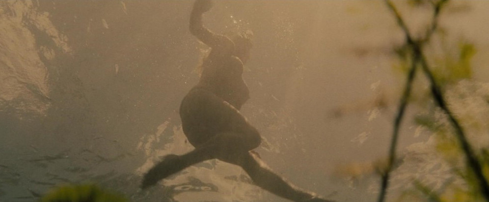 Willa Ford Naked Underwater  nude photo