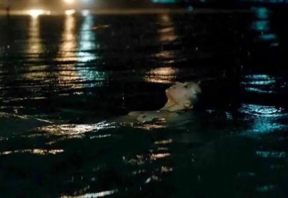 Alicia Vikander Naked Topless Sexy Tits Swimming Scene  nude photo