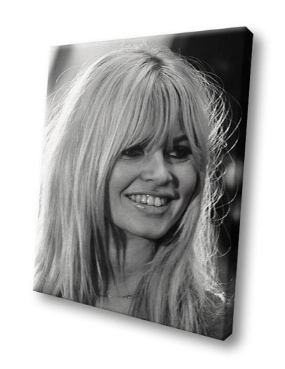 Brigitte Bardot  nude photo