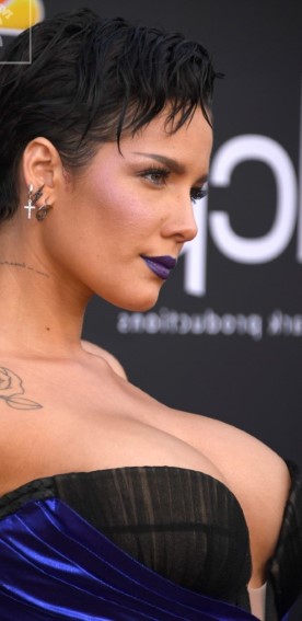 Halsey  nude photo