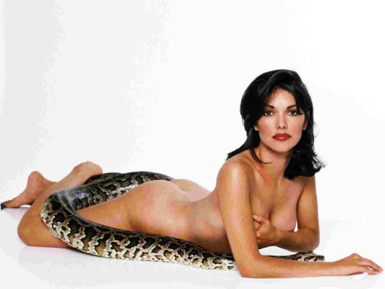 Laura Harring  nude photo