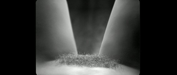 Paz Vega  nude photo