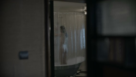 Stana Katic  nude photo