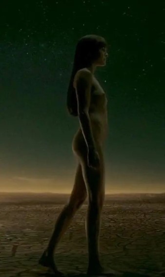 Watchmen Malin Akerman  nude photo