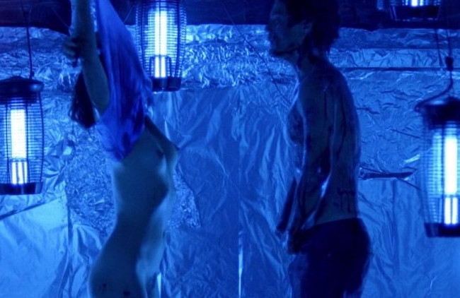 Ashley Judd Full Frontal Nudes  nude photo