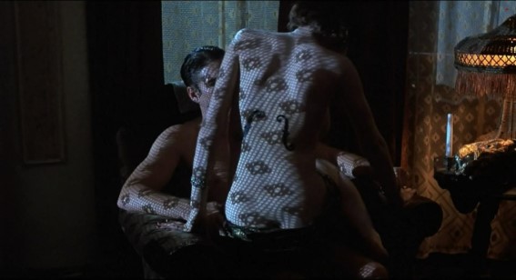 Diane Lane  nude photo