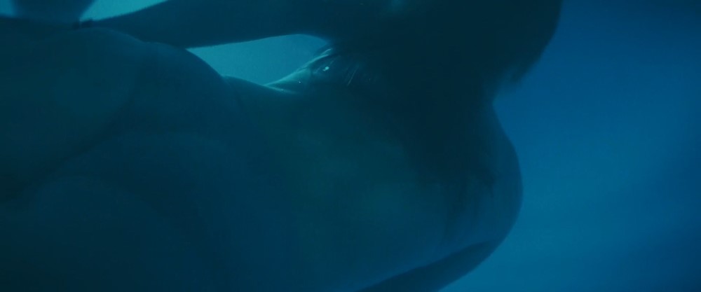 Kaitlyn Dever  nude photo