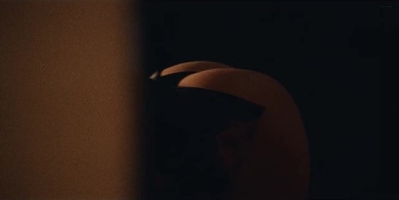 Lily-Rose Depp  nude photo